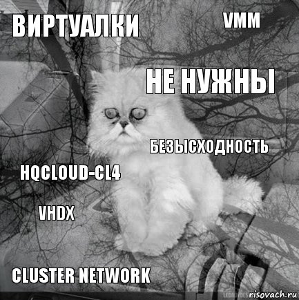 Виртуалки  не нужны Cluster Network HQCLOUD-CL4 VMM   vhdx безысходность, Комикс  кот безысходность