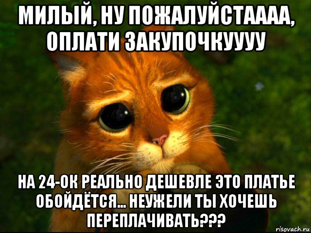 милый, ну пожалуйстаааа, оплати закупочкуууу на 24-ок реально дешевле это платье обойдётся... неужели ты хочешь переплачивать???, Мем кот из шрека