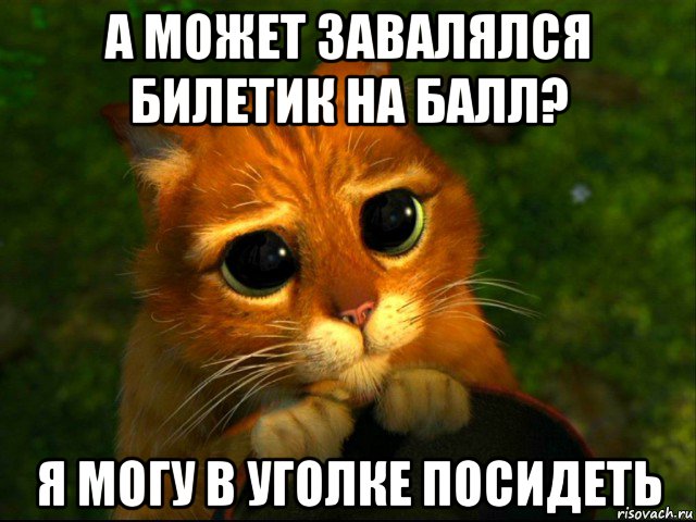 а может завалялся билетик на балл? я могу в уголке посидеть, Мем кот из шрека