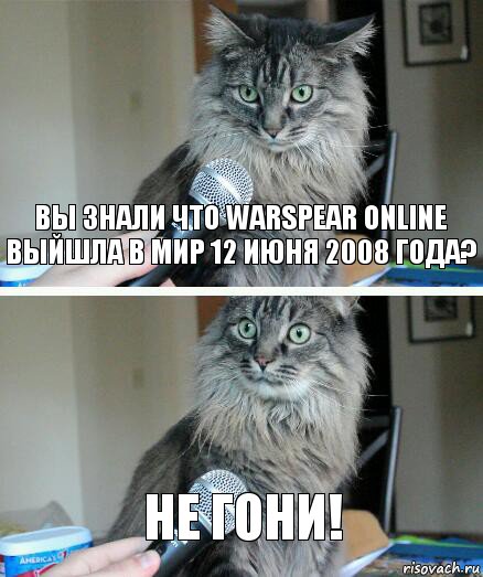 Вы знали что Warspear Online выйшла в мир 12 июня 2008 года? Не гони!, Комикс  кот с микрофоном