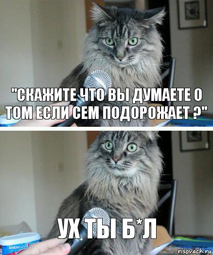 "Скажите что вы думаете о том если сем подорожает ?" Ух ты б*л, Комикс  кот с микрофоном