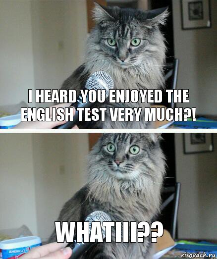 I heard you enjoyed the english test very much?! Whatiii??, Комикс  кот с микрофоном