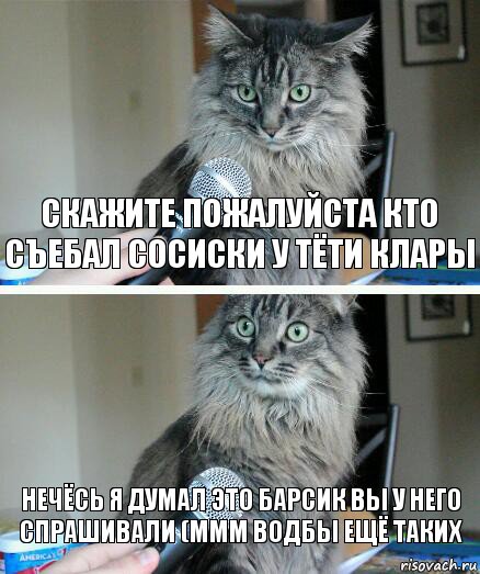 Скажите пожалуйста кто съебал сосиски у тёти клары Нечёсь я думал это барсик вы у него спрашивали (ммм водбы ещё таких, Комикс  кот с микрофоном
