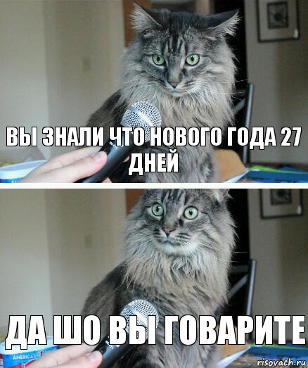 вы знали что нового года 27 дней да шо вы говарите, Комикс  кот с микрофоном