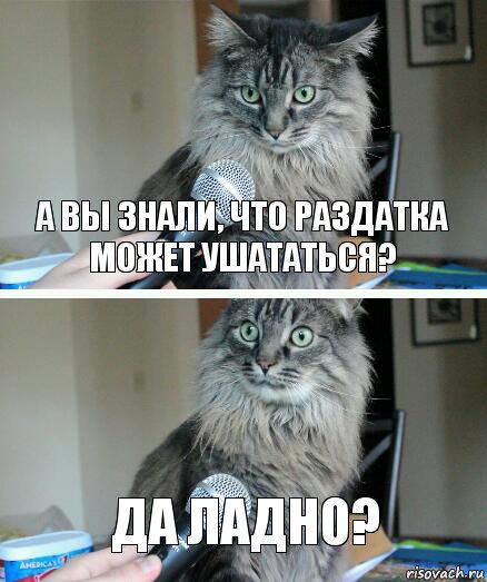 А вы знали, что РАЗДАТКА может ушататься? Да ладно?, Комикс  кот с микрофоном