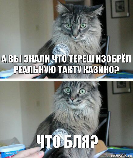 А вы знали что тереш изобрёл реальную такту казино? Что бля?, Комикс  кот с микрофоном