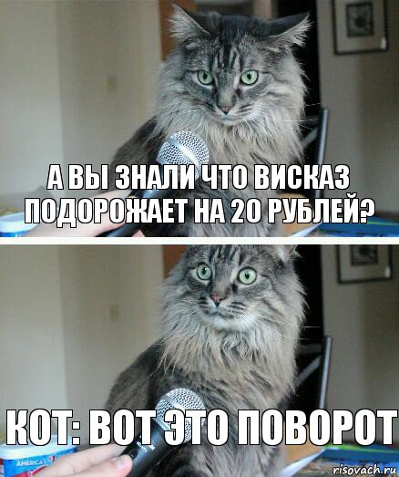 А вы знали что Висказ подорожает на 20 рублей? Кот: Вот это поворот, Комикс  кот с микрофоном