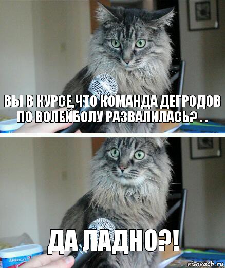 вы в курсе,что команда дегродов по волейболу развалилась? . . да ладно?!, Комикс  кот с микрофоном