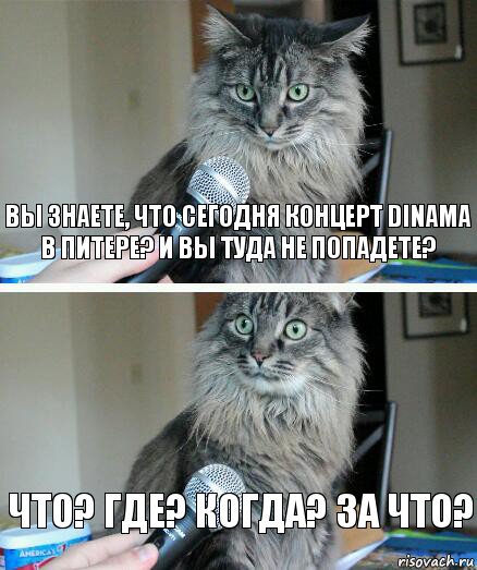 Вы знаете, что сегодня концерт DINAMA в Питере? И вы туда не попадете? Что? Где? Когда? За что?, Комикс  кот с микрофоном