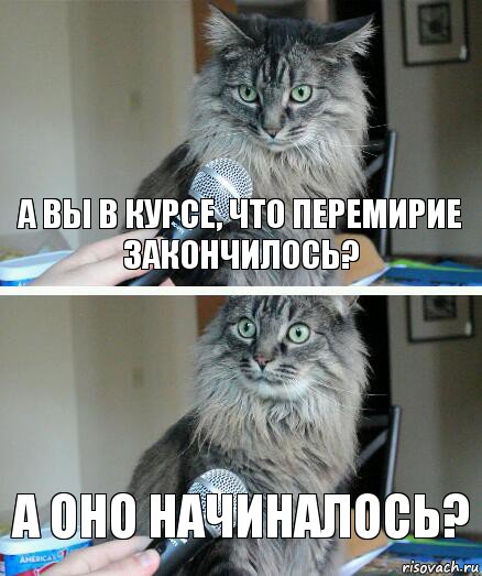 А вы в курсе, что перемирие закончилось? А оно начиналось?, Комикс  кот с микрофоном