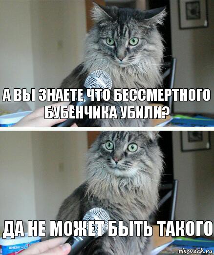 а вы знаете что бессмертного бубенчика убили? Да не может быть такого, Комикс  кот с микрофоном