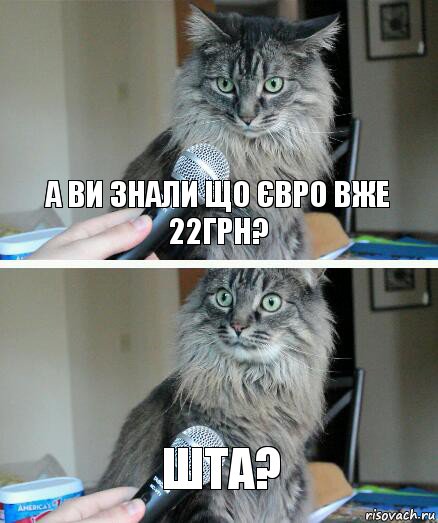 А ви знали що Євро вже 22грн? Шта?, Комикс  кот с микрофоном