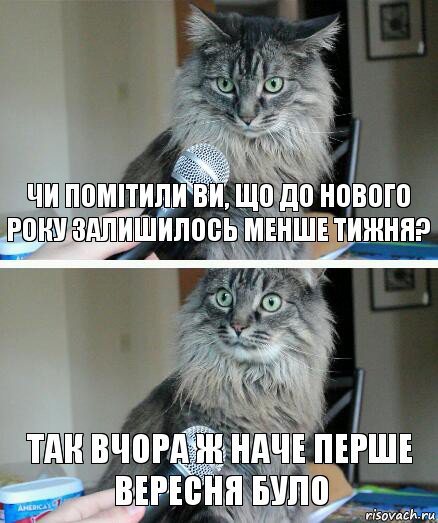 Чи помітили ви, що до нового року залишилось менше тижня? Так вчора ж наче перше вересня було, Комикс  кот с микрофоном