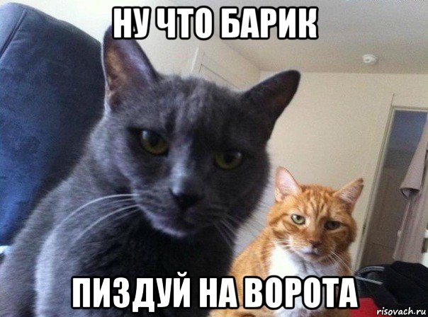 ну что барик пиздуй на ворота, Мем  Два котэ