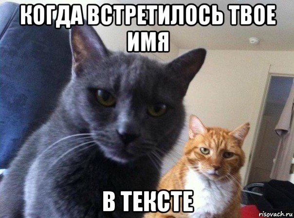 когда встретилось твое имя в тексте, Мем  Два котэ