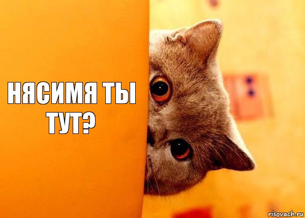 Нясимя ты тут?, Комикс Котенок