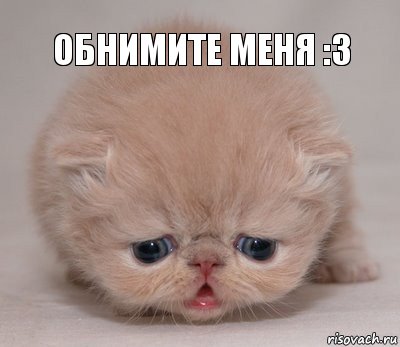 обнимите меня :3