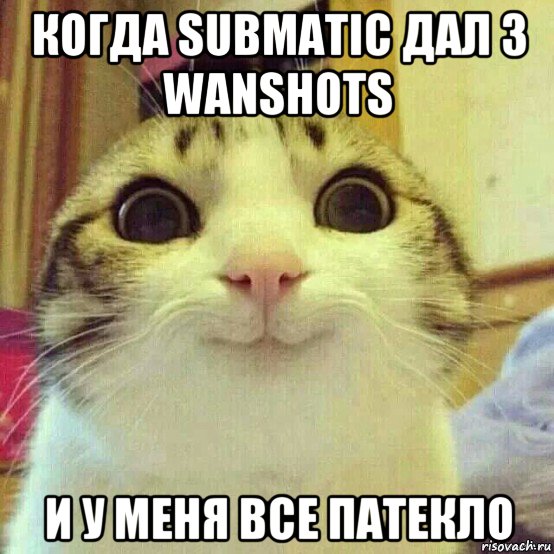 когда submatic дал 3 wanshots и у меня все патекло, Мем       Котяка-улыбака