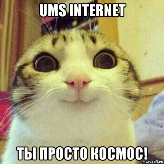 ums internet ты просто космос!, Мем       Котяка-улыбака