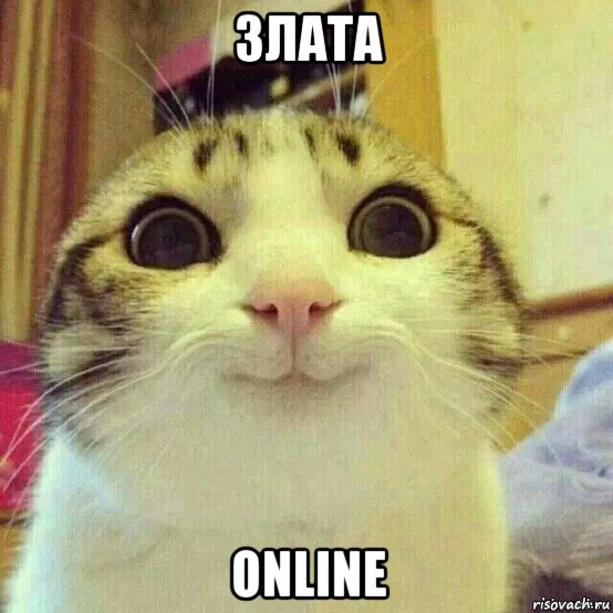 злата online, Мем       Котяка-улыбака