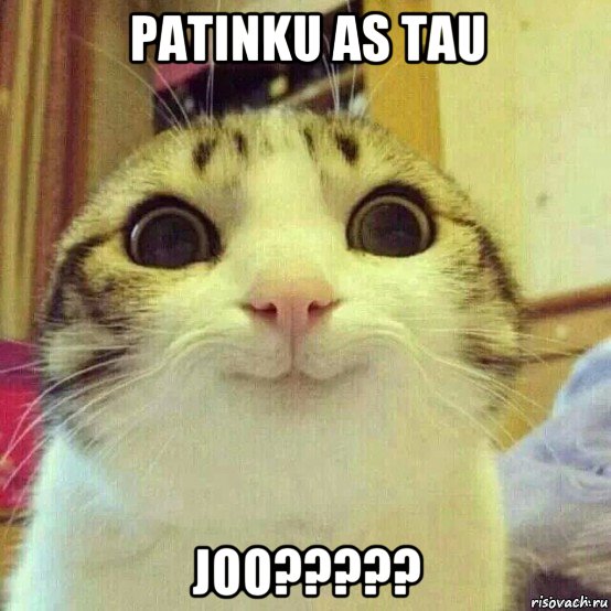 patinku as tau joo?????, Мем       Котяка-улыбака