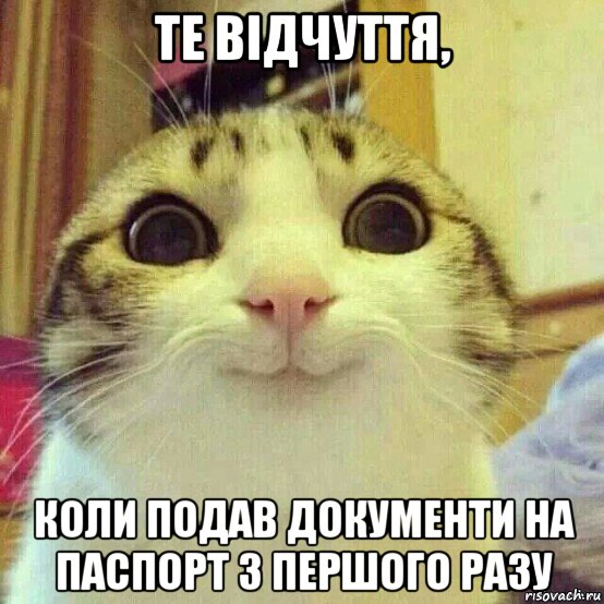 те відчуття, коли подав документи на паспорт з першого разу, Мем       Котяка-улыбака