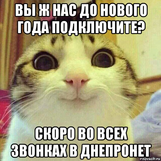 вы ж нас до нового года подключите? скоро во всех звонках в днепронет, Мем       Котяка-улыбака