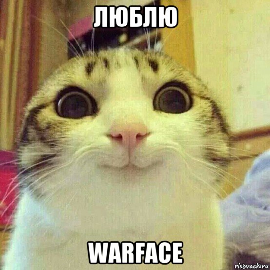 люблю warface, Мем       Котяка-улыбака