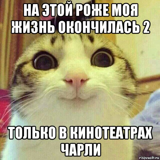 на этой роже моя жизнь окончилась 2 только в кинотеатрах чарли, Мем       Котяка-улыбака