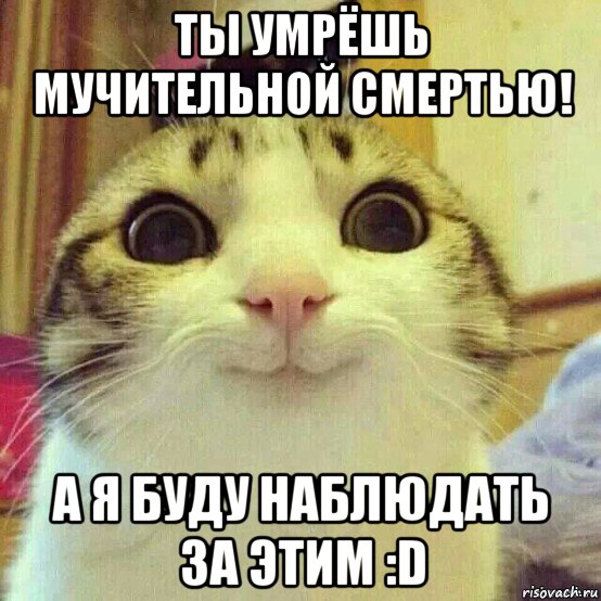 ты умрёшь мучительной смертью! а я буду наблюдать за этим :d, Мем       Котяка-улыбака