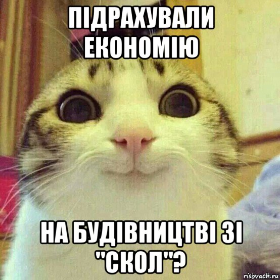 підрахували економію на будівництві зі "скол"?, Мем       Котяка-улыбака