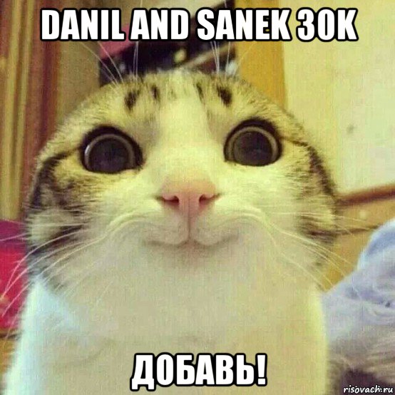 danil and sanek 30k добавь!, Мем       Котяка-улыбака