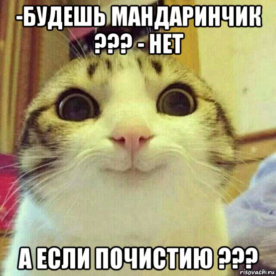 -будешь мандаринчик ??? - нет а если почистию ???, Мем       Котяка-улыбака