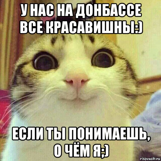 у нас на донбассе все красавишны:) если ты понимаешь, о чём я;), Мем       Котяка-улыбака