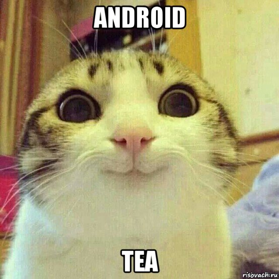 android tea, Мем       Котяка-улыбака