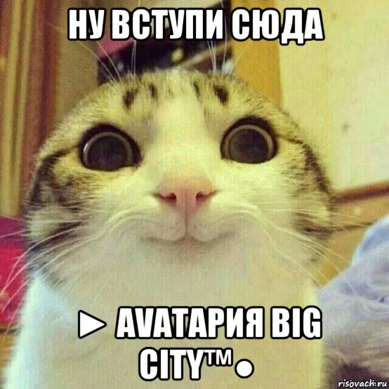 ну вступи сюда ► avataрия вig city™●, Мем       Котяка-улыбака