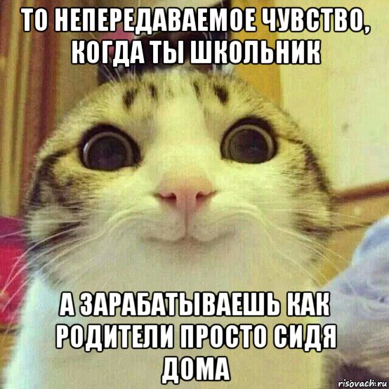 то непередаваемое чувство, когда ты школьник а зарабатываешь как родители просто сидя дома, Мем       Котяка-улыбака