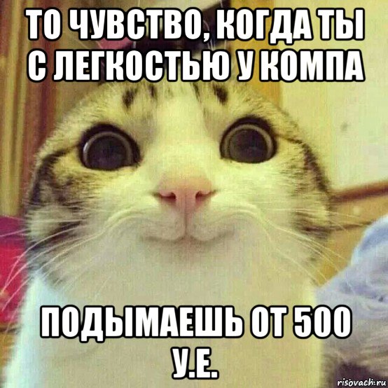 то чувство, когда ты с легкостью у компа подымаешь от 500 у.е., Мем       Котяка-улыбака