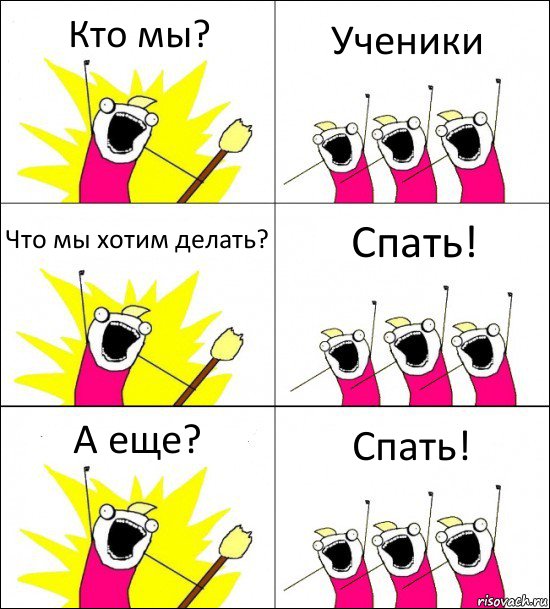 Кто мы? Ученики Что мы хотим делать? Спать! А еще? Спать!