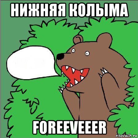 нижняя колыма foreeveeer, Мем Медведь-шлюха