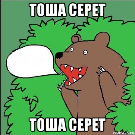 тоша серет тоша серет, Мем Медведь-шлюха