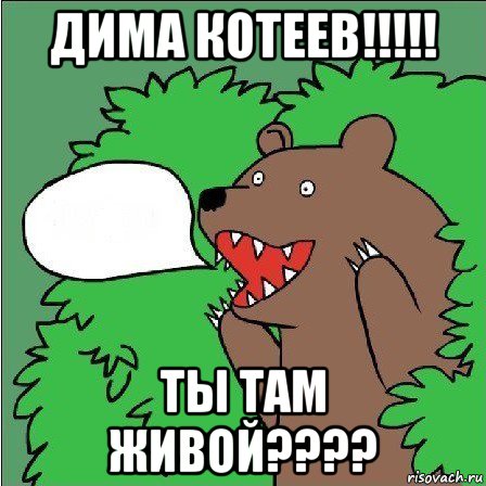 дима котеев!!!!! ты там живой????, Мем Медведь-шлюха