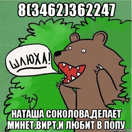 8(3462)362247 наташа соколова,делает минет,вирт,и любит в попу, Мем Медведь в кустах