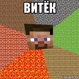 витёк , Мем Миникрафтер