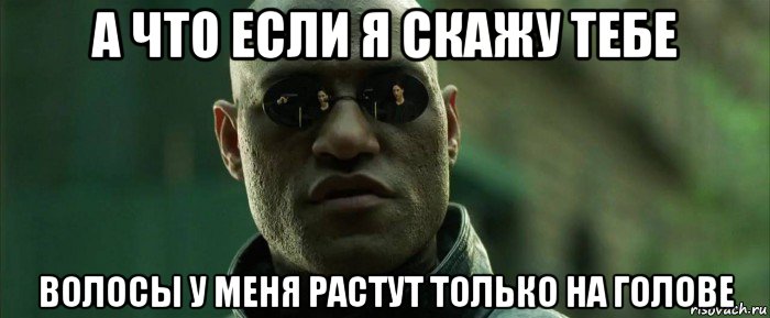 а что если я скажу тебе волосы у меня растут только на голове