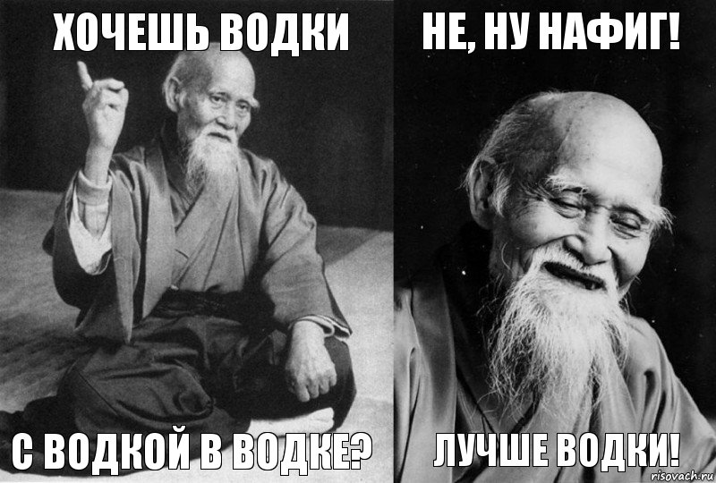 Хочешь водки с водкой в водке? Не, ну нафиг! Лучше водки!, Комикс Мудрец-монах (4 зоны)