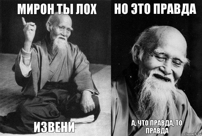 Мирон ты лох Извени Но это правда А, что правда, то правда, Комикс Мудрец-монах (4 зоны)