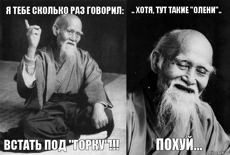 Я ТЕБЕ СКОЛЬКО РАЗ ГОВОРИЛ: ВСТАТЬ ПОД "ГОРКУ"!!! .. ХОТЯ, ТУТ ТАКИЕ "ОЛЕНИ".. ПОХУЙ..., Комикс Мудрец-монах (4 зоны)