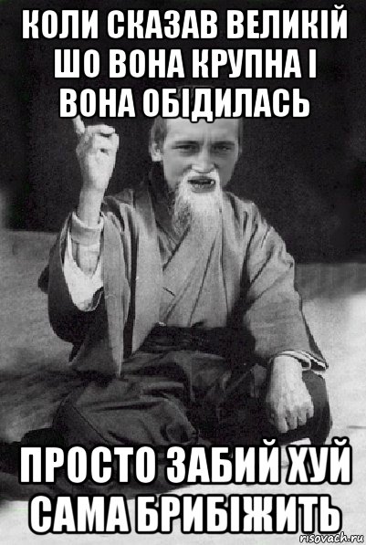 коли сказав великій шо вона крупна і вона обідилась просто забий хуй сама брибіжить, Мем Мудрий паца