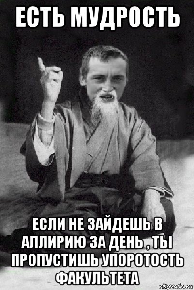 есть мудрость если не зайдешь в аллирию за день , ты пропустишь упоротость факультета, Мем Мудрий паца